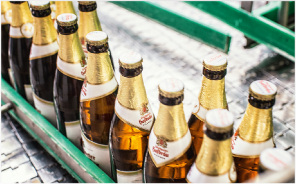 Mehrere Bierflaschen stehen in einer grünen Kiste. Die Flaschen haben goldene Kapseln.