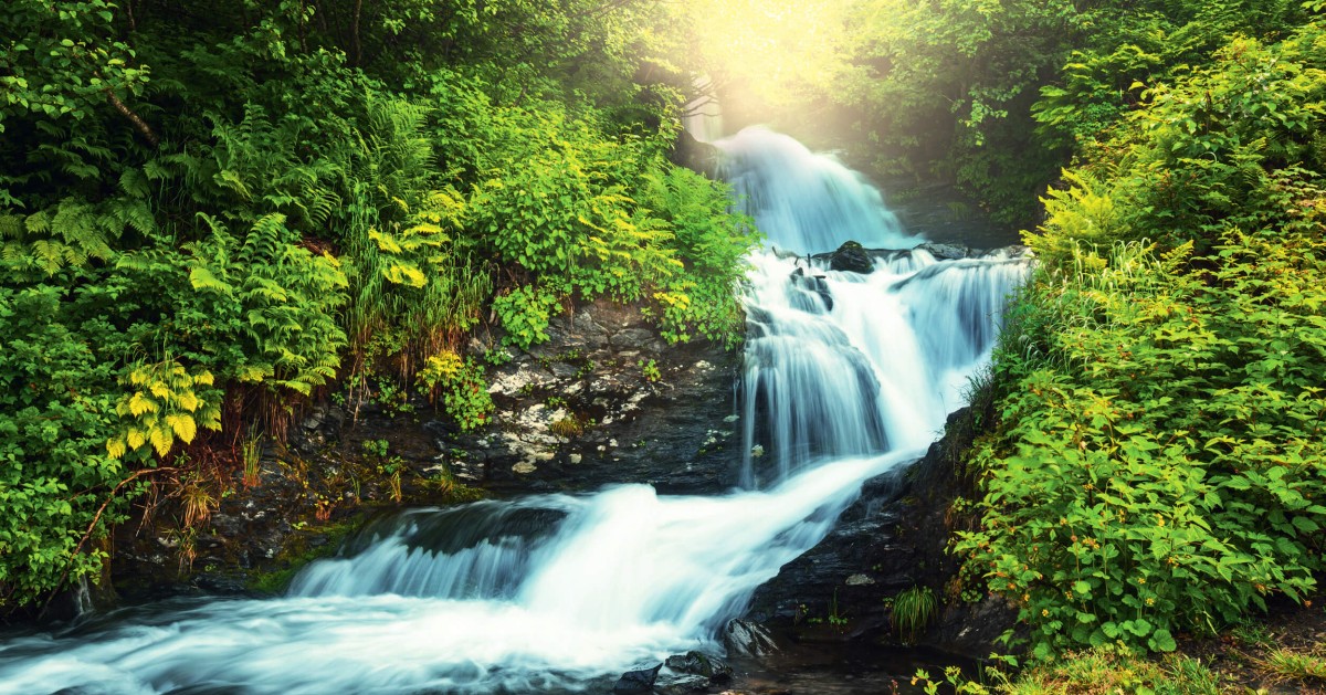 Ein lebhafter Wasserfall fließt mitten in einem üppig grünen Wald. Sonnenlicht durchbricht die Baumkronen.